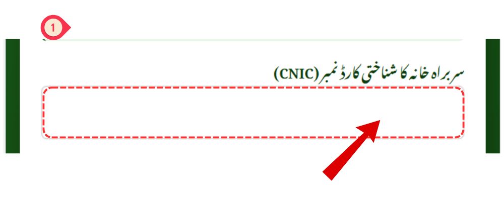 Check Benazir Income Support Money Online