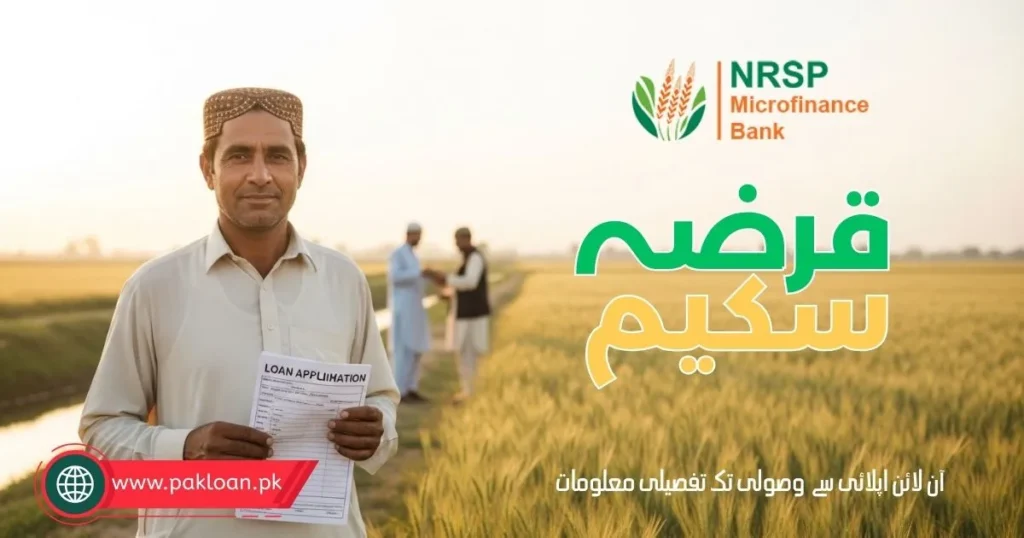NRSP loan
